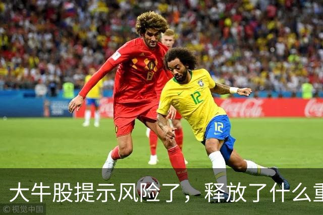 大牛股提示风险了，释放了什么重要信号？